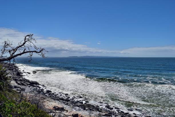 istock Noosa National Park 917180724