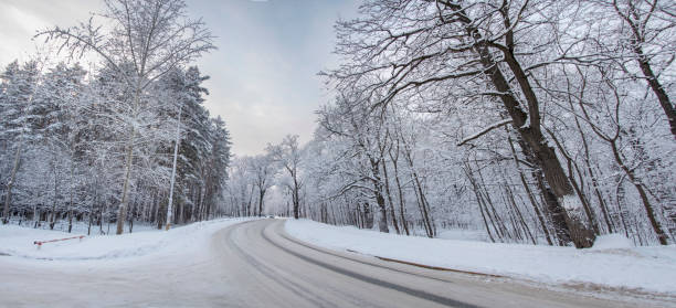 istock Winter landscape with road and trees covered with snow 917180840