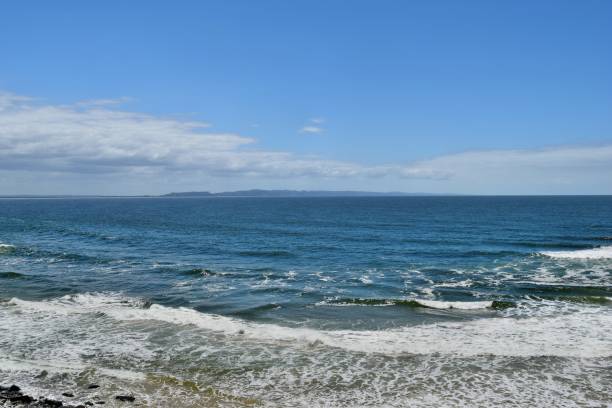 istock Noosa National Park 917181202