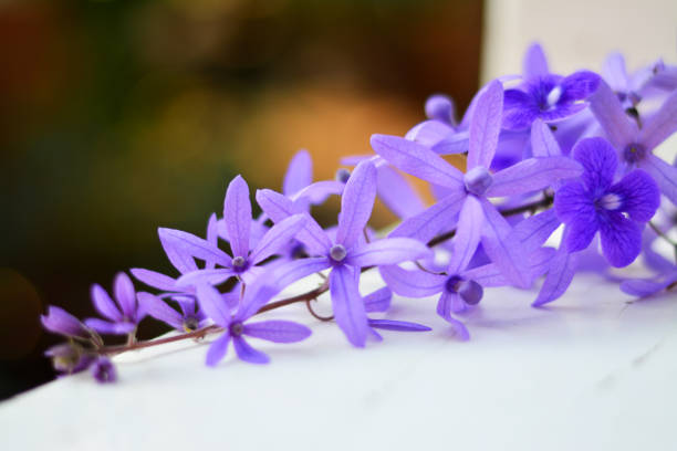 istock Petrea volubilis on white chair with natural background. 917181396