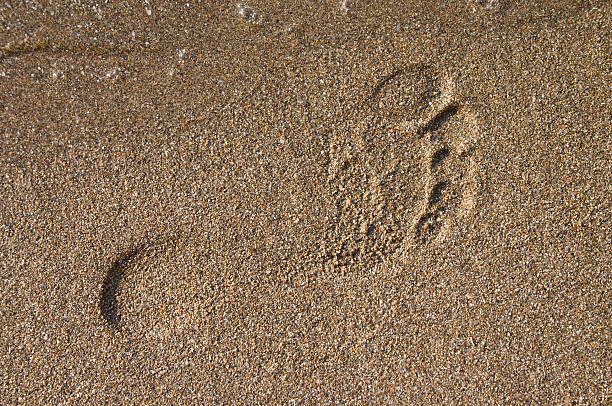 istock barefoot print on sand at seaside 91718381
