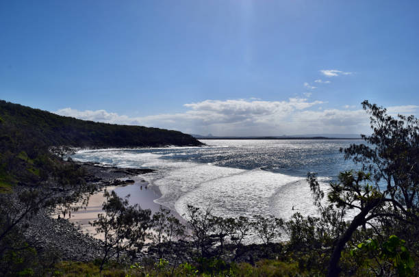 istock Noosa National Park 917183822