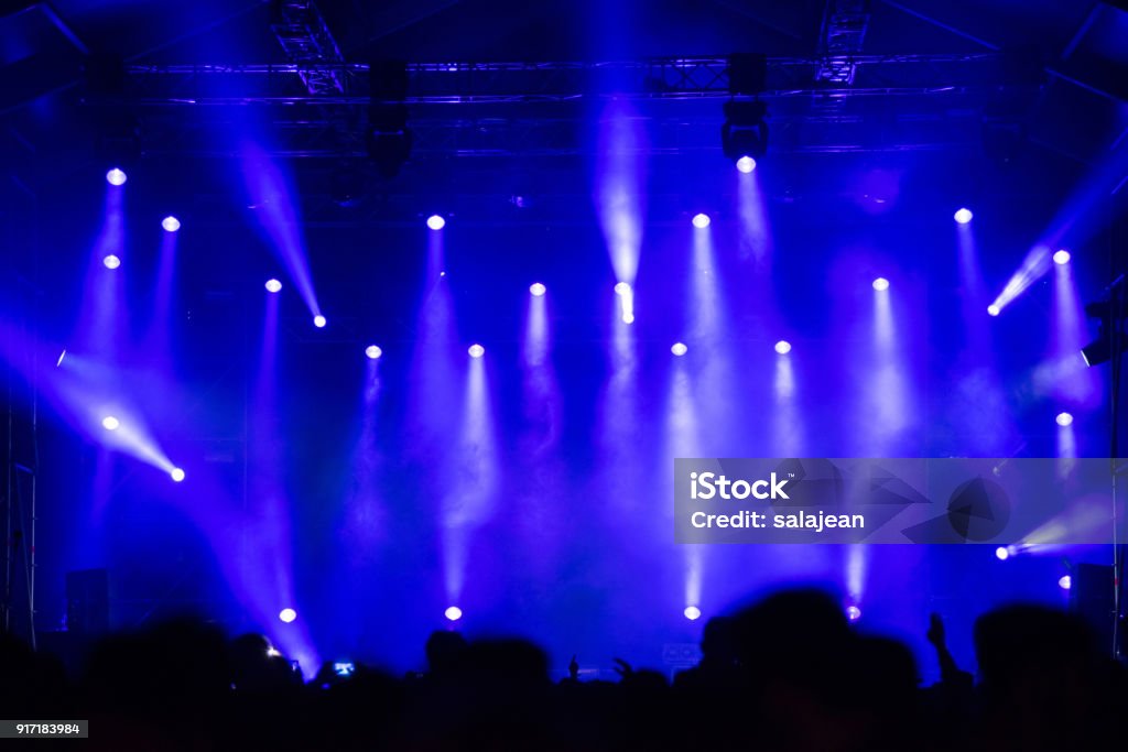 Partying crowd at a concert Partying crowd at a live electronic dance music concert Concert Stock Photo