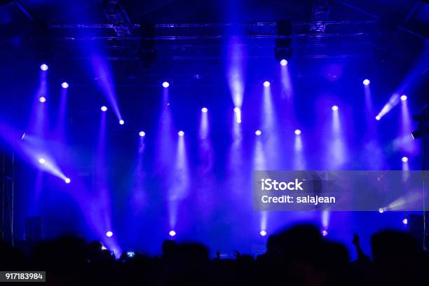 Partying Crowd At A Concert Stock Photo - Download Image Now - Concert, Rap, Hip Hop Music