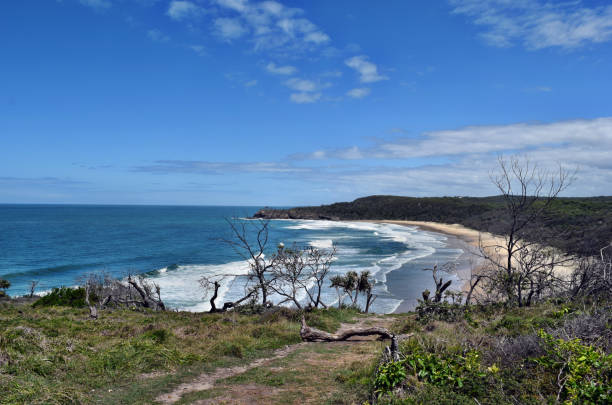 istock Noosa National Park 917184650