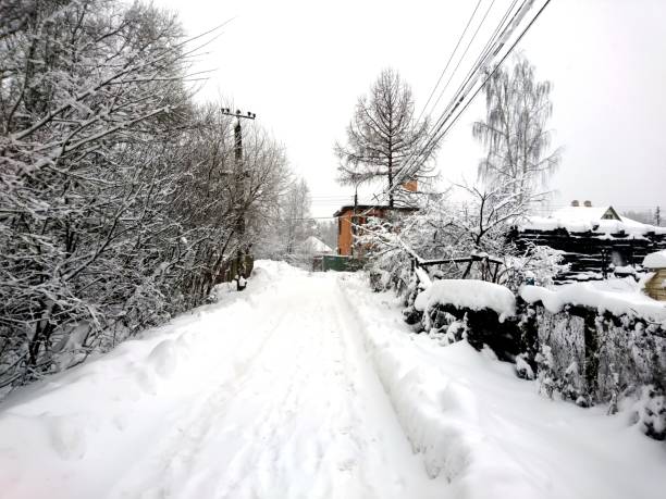 istock Winter forest after snowfall. Winter landscape in nature 917184918