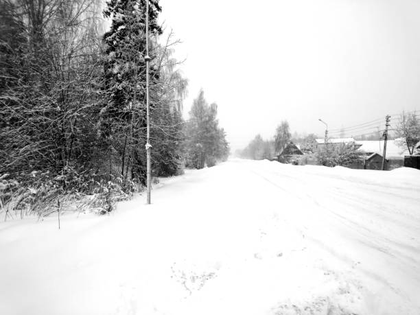 istock Winter forest after snowfall. Winter landscape in nature 917184934