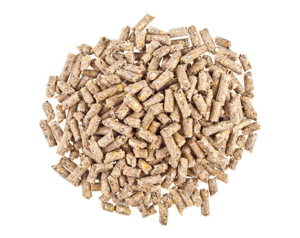 istock Pelleted compound feed Isolated on white background, wheatfeed pellets 917185408