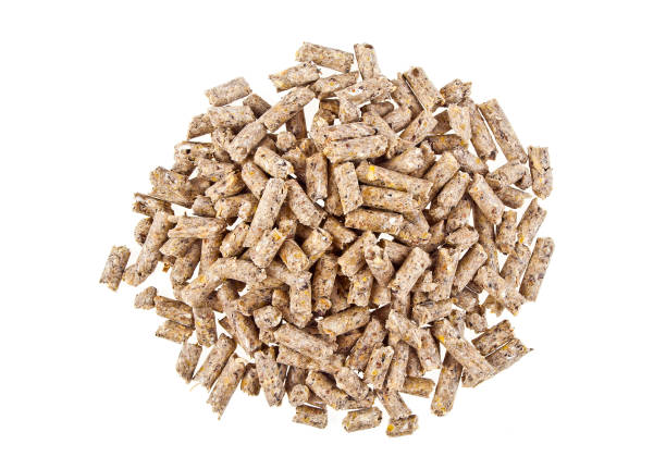 istock Pelleted compound feed Isolated on white background, wheatfeed pellets 917185416