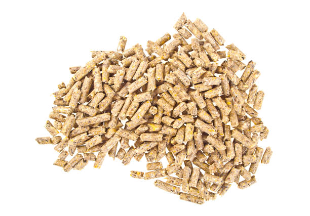 istock Pelleted compound feed Isolated on white background, wheatfeed pellets 917188928