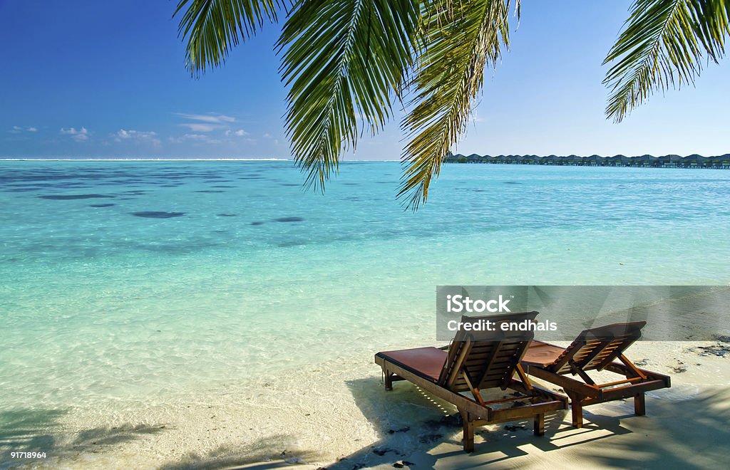 Two canvas lounge chairs sit next to the ocean on a beach Canvas Chairs on tropical beach Beach Stock Photo