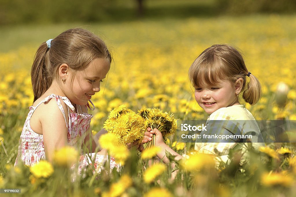 Zwei süße Mädchen spielen auf ein Löwenzahn Wiese - Lizenzfrei Alternativer Lebensstil Stock-Foto