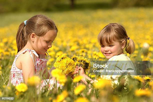 Zwei Süße Mädchen Spielen Auf Ein Löwenzahn Wiese Stockfoto und mehr Bilder von Alternativer Lebensstil - Alternativer Lebensstil, Beleuchtet, Bunt - Farbton