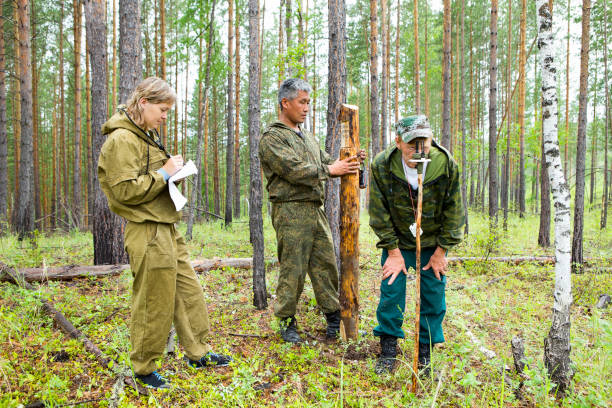 inspecteurs de la forêt travaillent dans la forêt. - sign hiking north sport symbol photos et images de collection