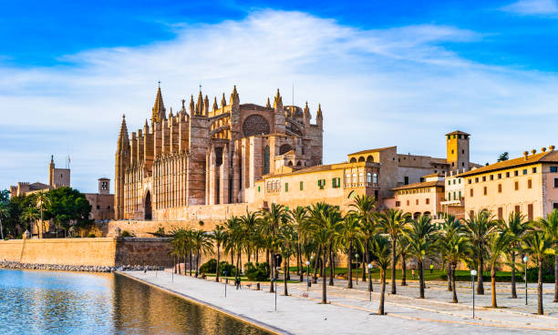 catedral la seu e parc del mar em palma de maiorca espanha - catedral - fotografias e filmes do acervo