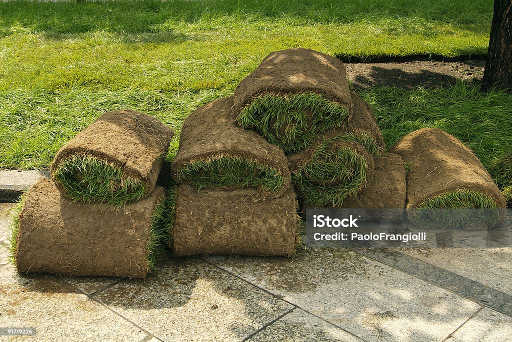 sod cover lawn in rolls Abstract Stock Photo