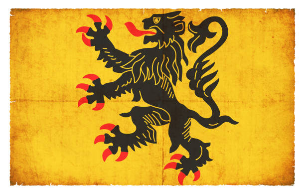 istock Grunge flag of Nord-Pas-de-Calais (France) 917195166