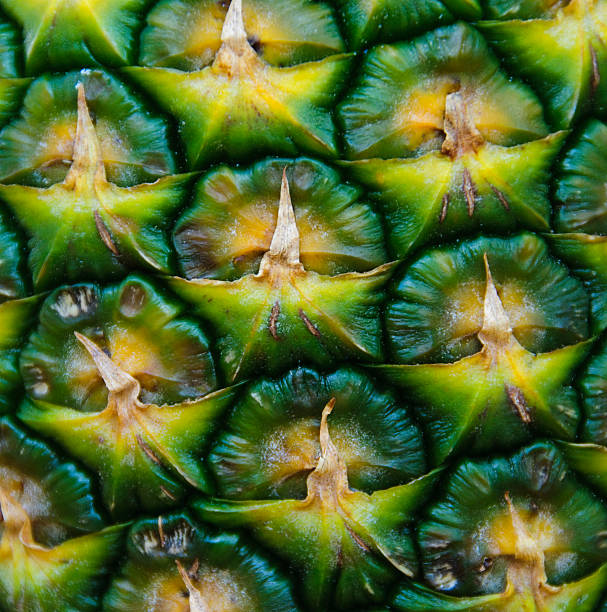 pineapple close-up stock photo