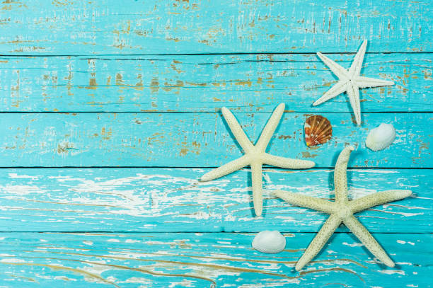 istock Starfish and seashell on blue wooden background 917196340