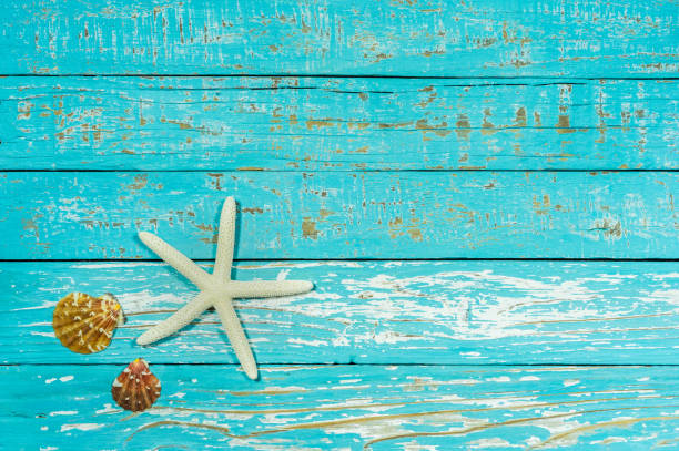 istock Summer background decoration with starfish and seashell on blue wood 917198612