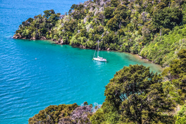 Marlborough Sounds Marlborough Sounds near Picton, South Island, New Zealand picton new zealand stock pictures, royalty-free photos & images