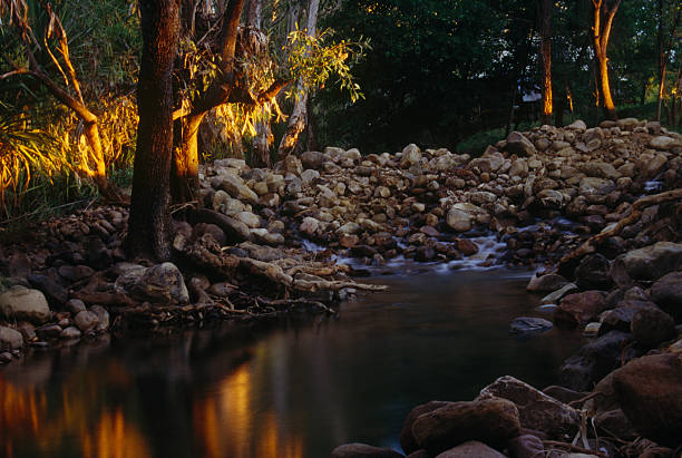 istock Beautiful creek at sunset 91719865