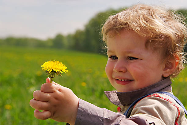 istock littleboy with dandelion in hand 91720046