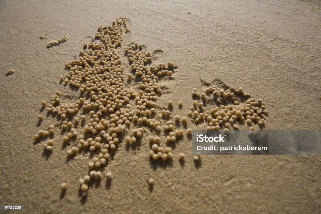 Muster der Natur - Lizenzfrei Abstrakt Stock-Foto