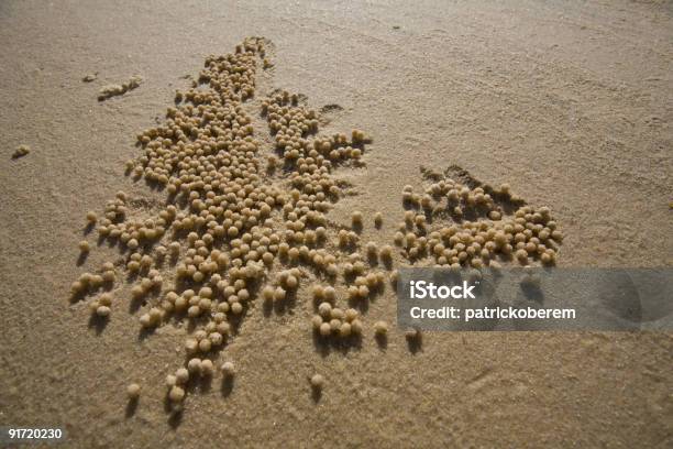 Muster Der Natur Stockfoto und mehr Bilder von Abstrakt - Abstrakt, Bildhintergrund, Extreme Nahaufnahme