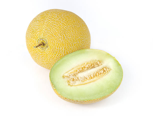 Cantaloupe Melon stock photo