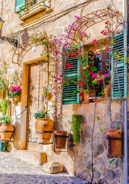 Mediterranean house wall with flowers in Valldemossa village on Mallorca, Spain Typical potted plants in Valldemossa historic village, Majorca Spain Balearic islands spanish flower pots stock pictures, royalty-free photos & images