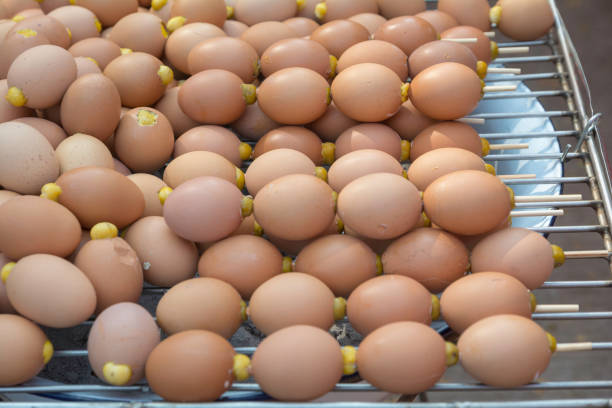 istock Grilled egg placed on the fireplace for sale. 917210066