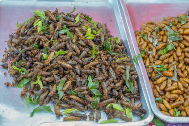 istock Crickets fried in tray for sale. 917210116