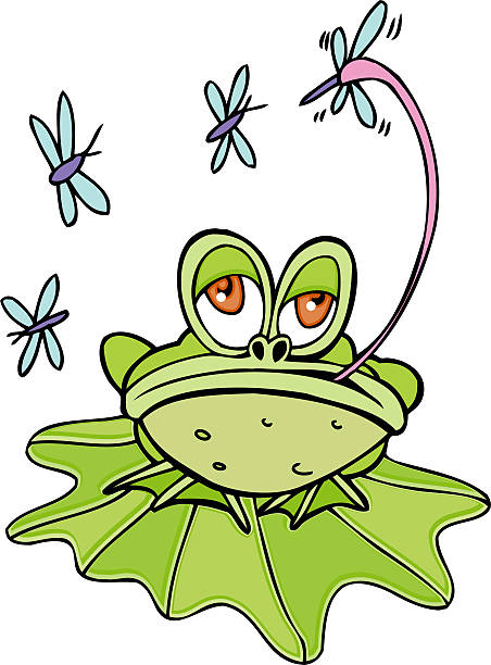 illustrations, cliparts, dessins animés et icônes de grenouille mosquitos manger - frog animal tongue animal eating