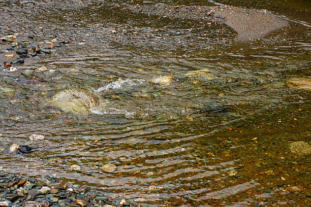 istock Natural texture. Pure river transparent water. Variant two. 91721112
