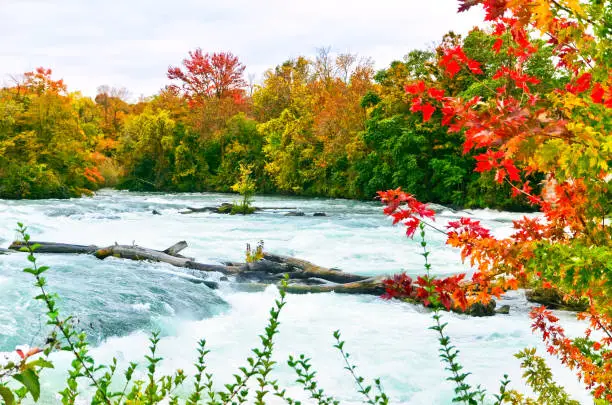 Photo of Upstream of Niagara Falls from American side in autumn.