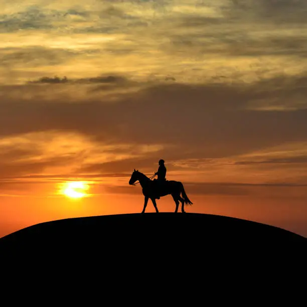 Photo of Horseback rider at sunset