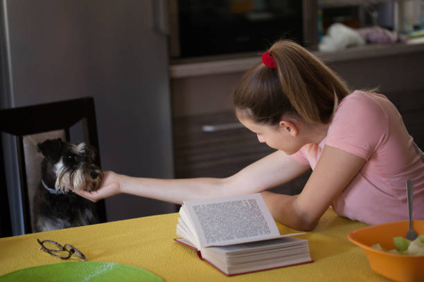 dog homework picture Beautiful teenage girl reading book Teenage girl reading book. Very Shallow DOF. Developed from RAW; retouched with special care and attention; Small amount of grain added for best final impression. 16 bit RGB color profile. Personal consultation at home. Very Shallow DOF. Developed from RAW; retouched with special care and attention; Small amount of grain added for best final impression. 16 bit RGB color profile. Personal consultation at home. Very Shallow DOF. Developed from RAW; retouched with special care and attention; Small amount of grain added for best final impression. 16 bit RGB color profile. dog ate my homework stock pictures, royalty-free photos & images