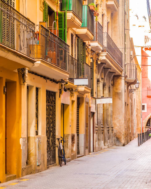 istock Old town of Palma de Mallorca, Spain 917221942