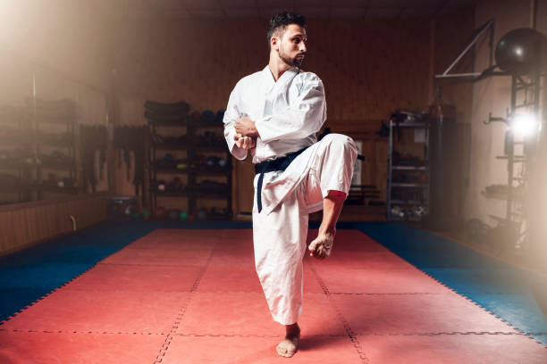 istock Martial arts master, black belt, karate 917225724