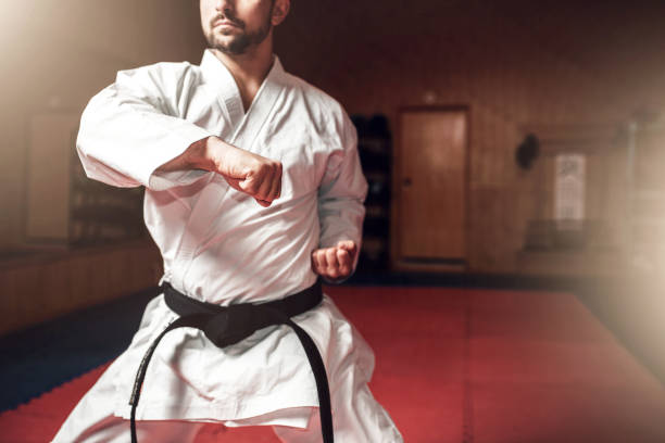 istock Martial arts master on fight training in gym 917227748