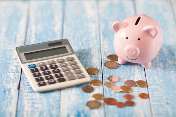 istock Piggy bank with calculator 917229390