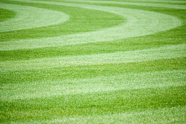 Grass  outfield stock pictures, royalty-free photos & images