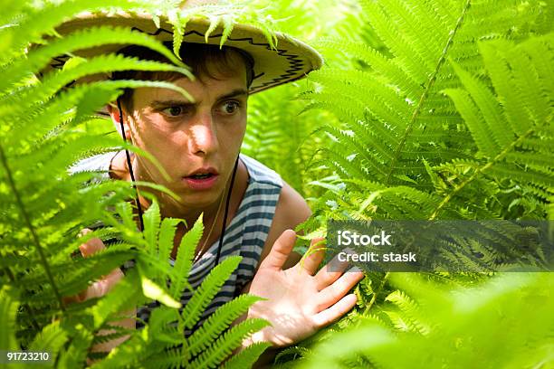 De Caminhada Ferns - Fotografias de stock e mais imagens de Abraçar Árvore - Abraçar Árvore, Acidente Natural, Adulto