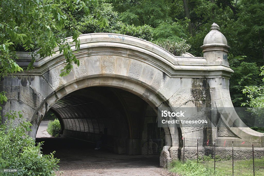 Widok Park Brooklyn - Zbiór zdjęć royalty-free (Prospect Park)