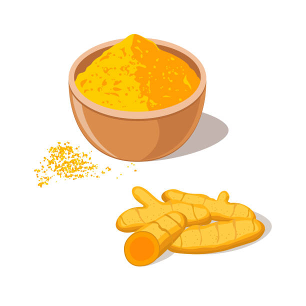 Turmeric Root with Powder in Bowl Turmeric root with powder in bowl. Curcima spice. Curcumin isolated on white background. Vector illustration flat design ginger ground spice root stock illustrations