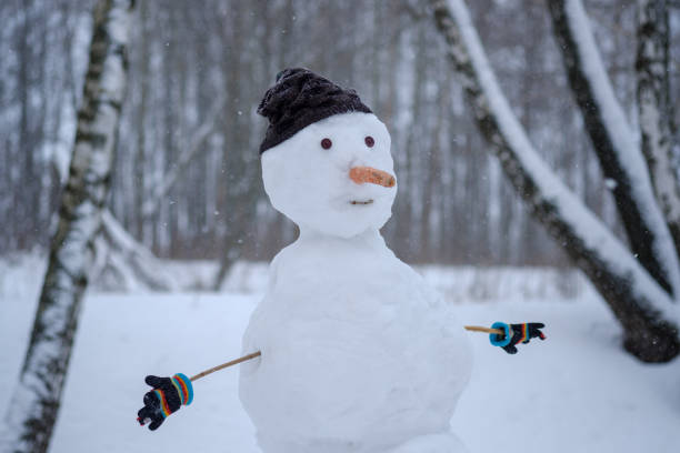 istock the funny snowman in the snowy forest 917235920