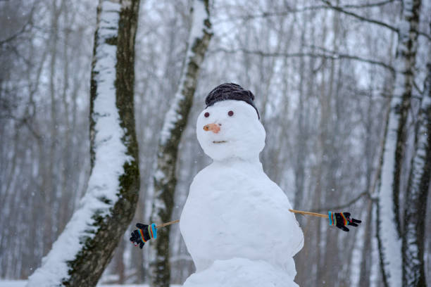 istock the funny snowman in the snowy forest 917235952
