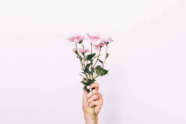 istock Pink flower in female hand with manicure 917236016