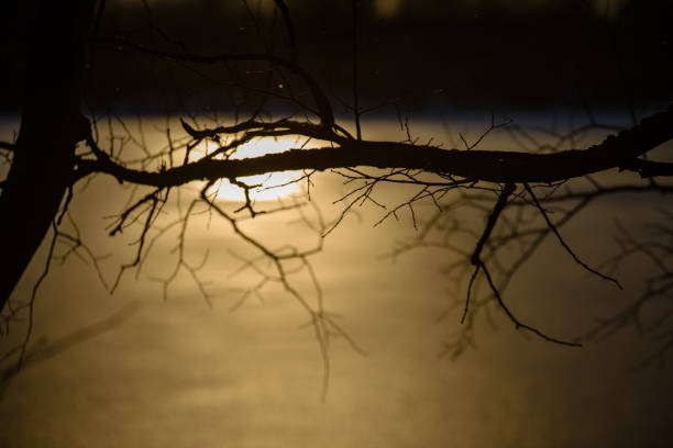 colorful winter sunset on frozen river ice with tree silhouettes and blur background